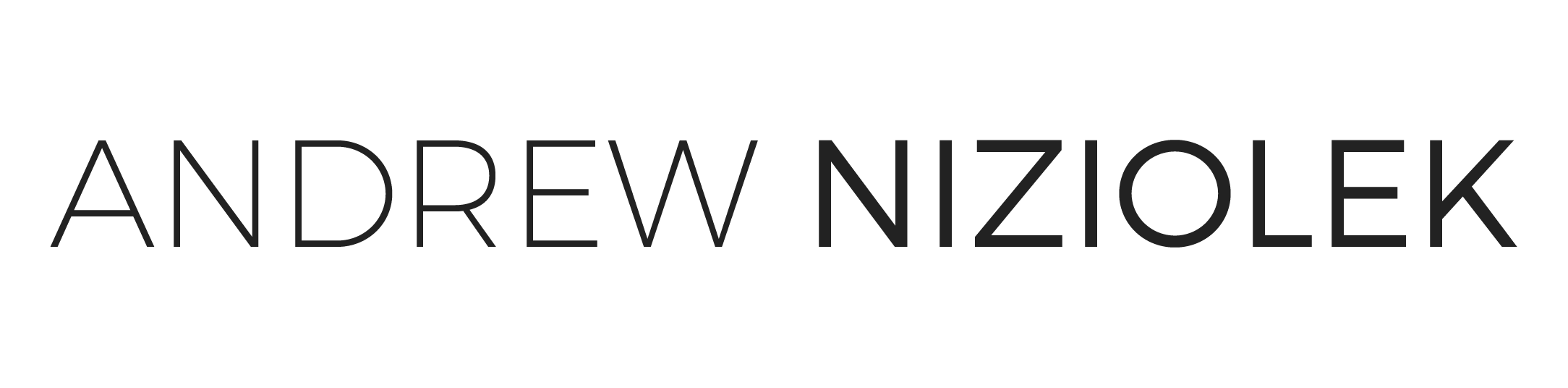 Andrew Niziolek Logo